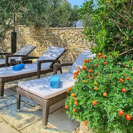 Kos Murter Sibenik